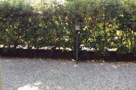 Residence Apuamare Pietrasanta Bagian luar foto